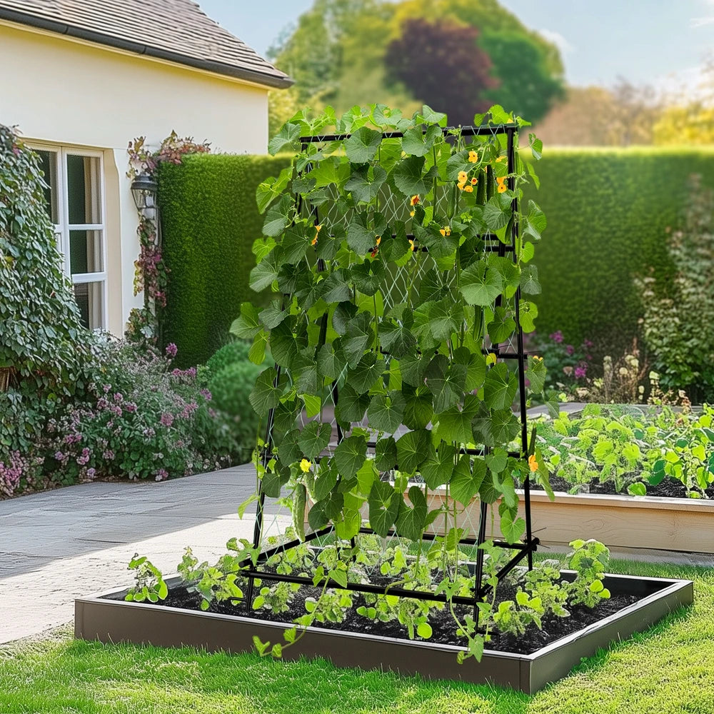 Wisfor Metal A Shaped Garden Trellis Arch for Climbing Plants
