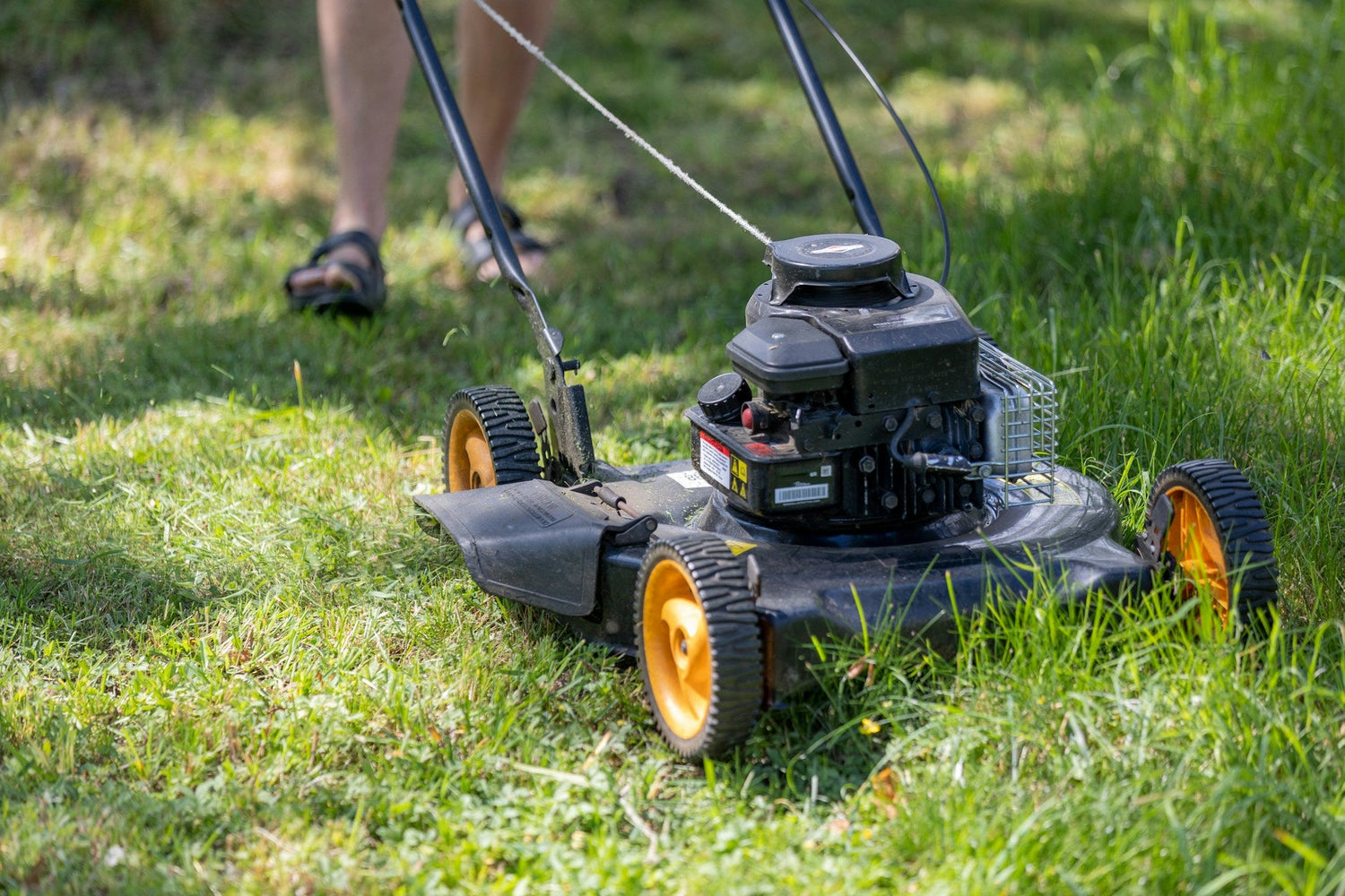 Lawn & Garden