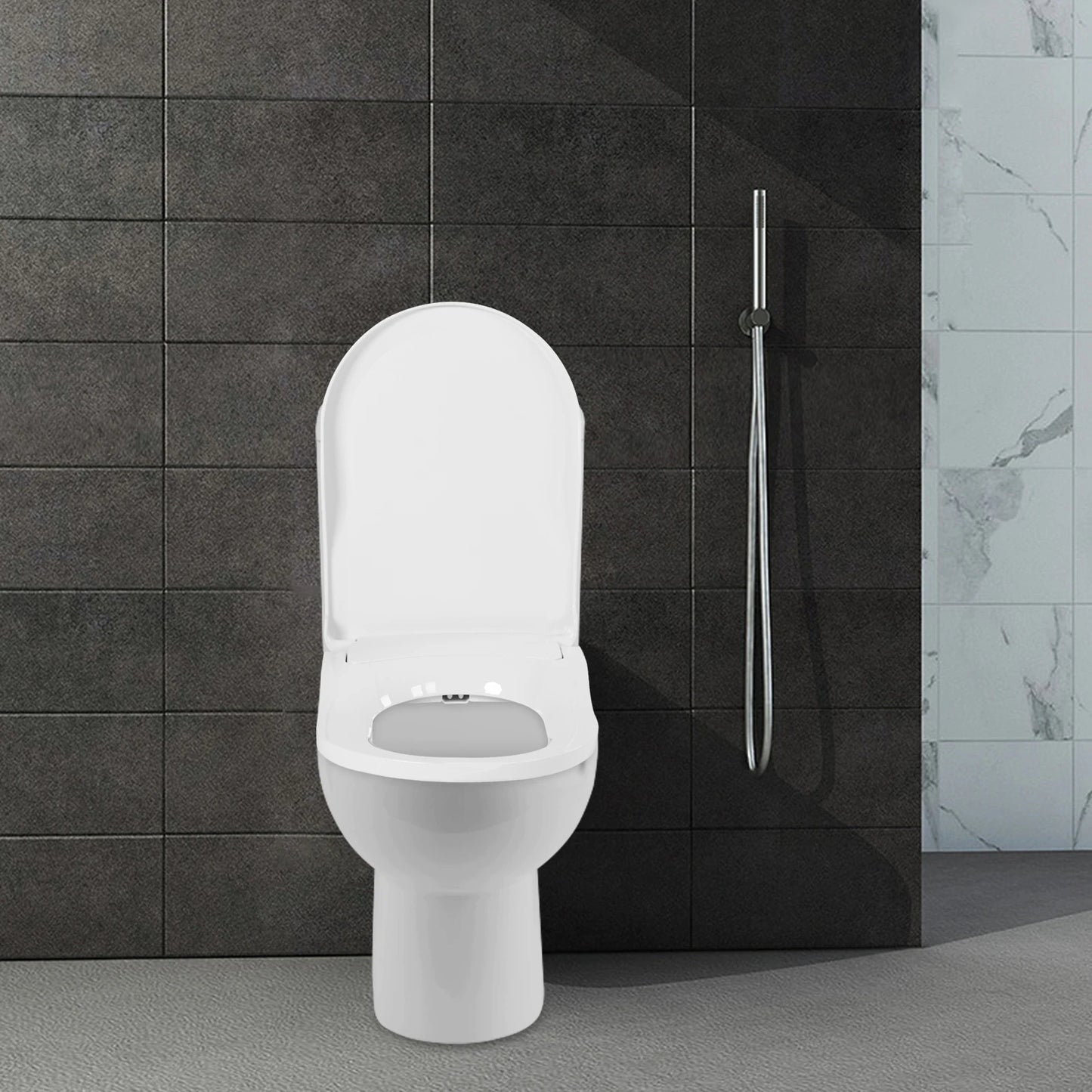 Non-Electric Dual Nozzle Bidet Toilet Seat