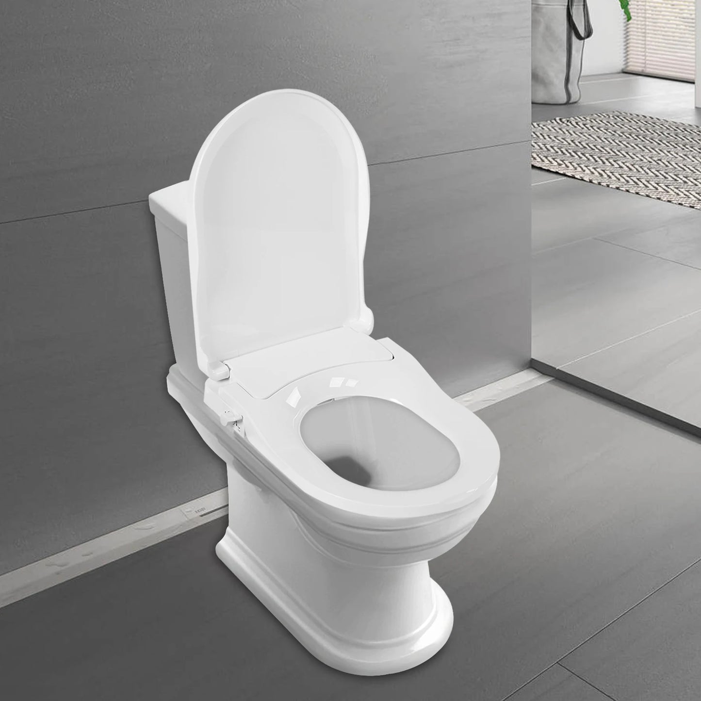 Non-Electric Dual Nozzle Bidet Toilet Seat