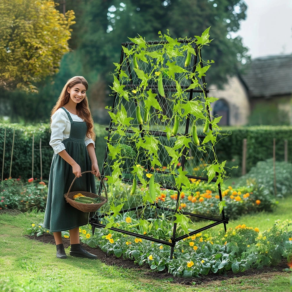 Wisfor Metal A Shaped Garden Trellis Arch for Climbing Plants
