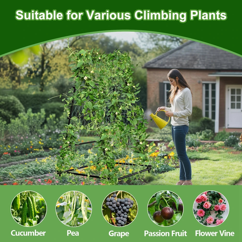 Wisfor Metal A Shaped Garden Trellis Arch for Climbing Plants